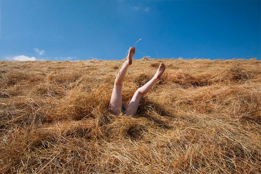 Legs sticking out of a hay pile under a clear blue sky.